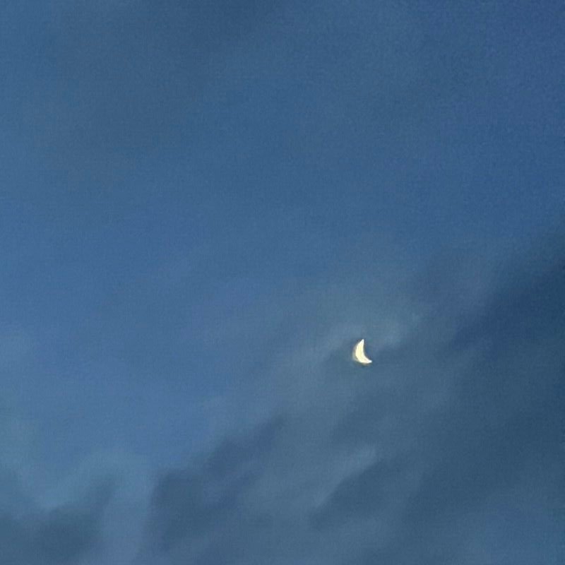 Profile picture of Mody